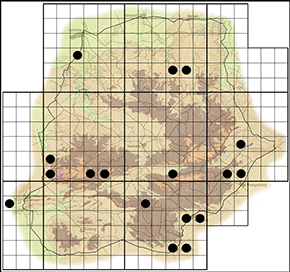 Iolalus silarus Waterberg distribution